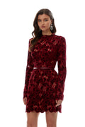 Hafdis Red Floral Embroidered Mini Dress