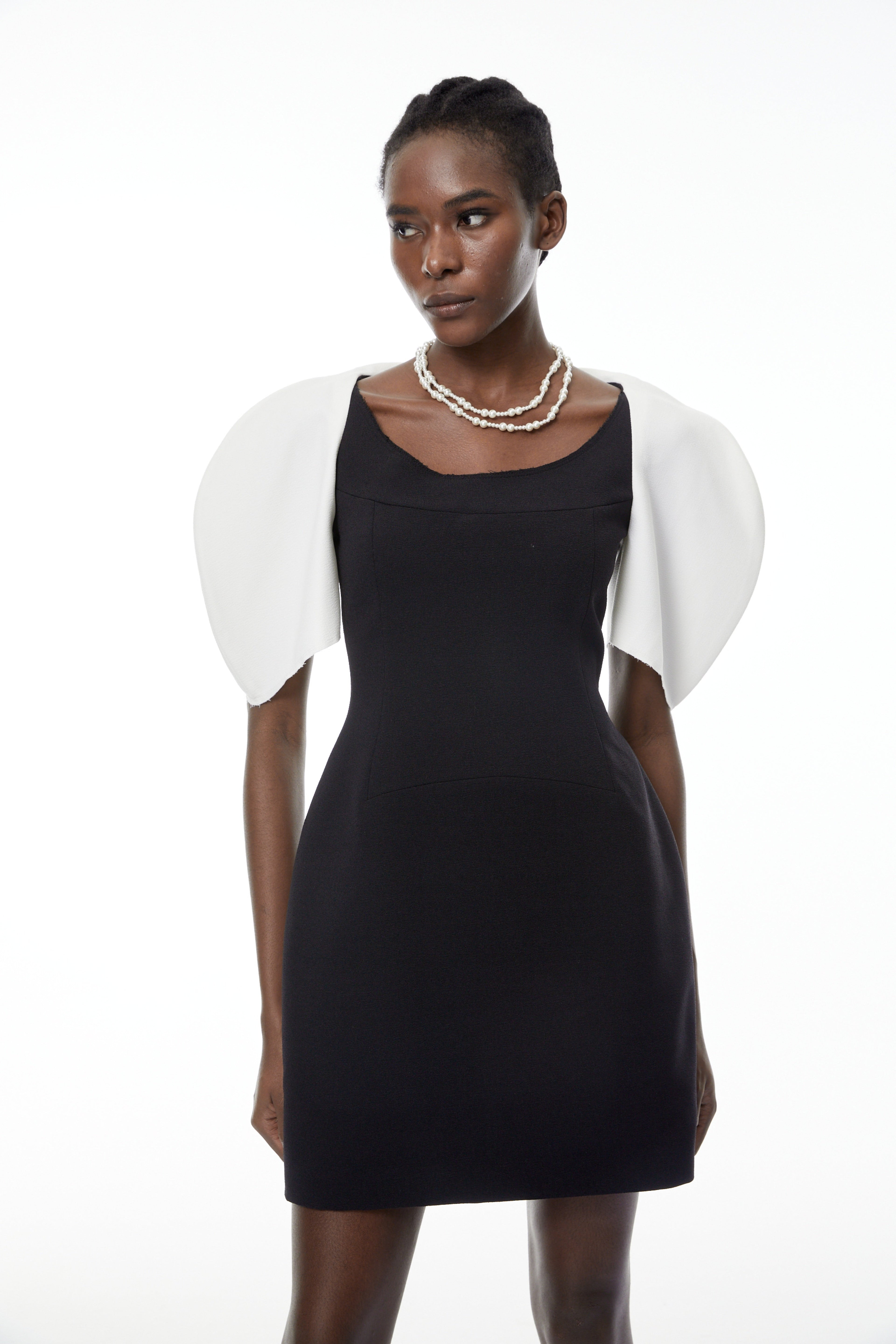 Catalina Black Color Blocked Mini Dress