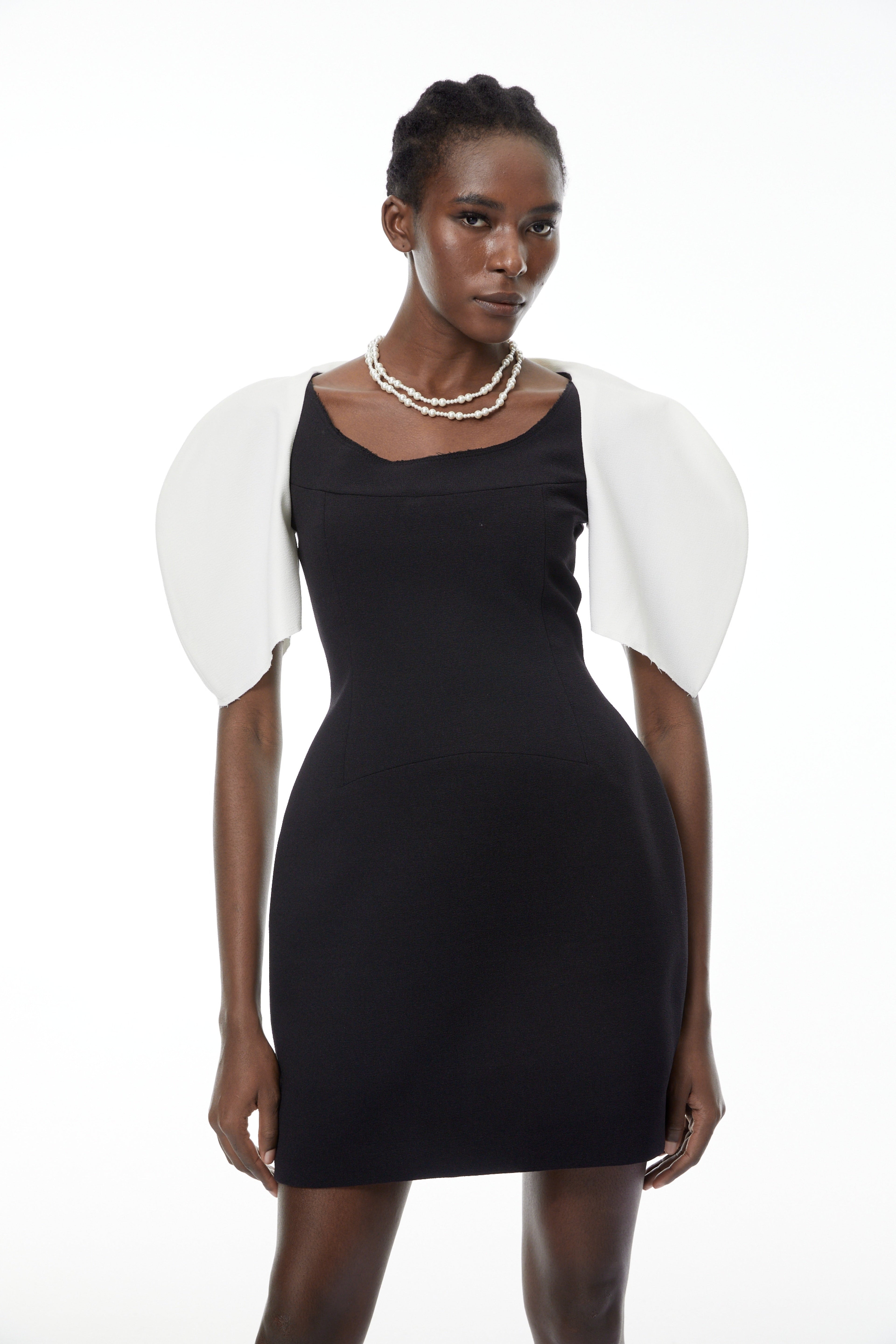 Catalina Black Color Blocked Mini Dress